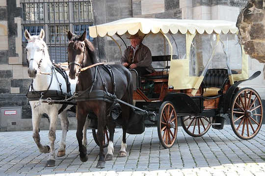 A Life Path Metaphor: Two Horses, A Carriage, A Driver, and A Passenger