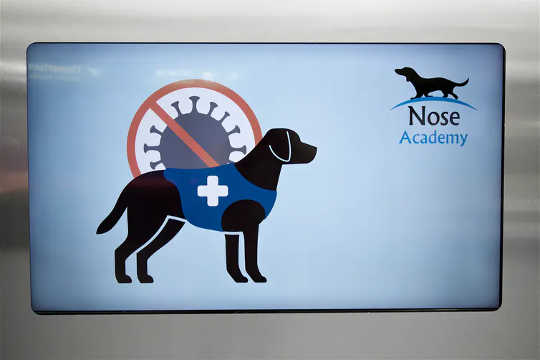 A sign notifies travelers about a pilot study at Helsinki airport that offers free coronavirus tests using dogs to detect infections by smell. 